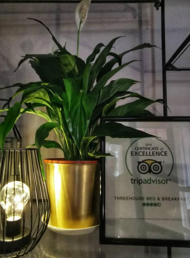 קוצ'ינג Treehouse Hostel מראה חיצוני תמונה